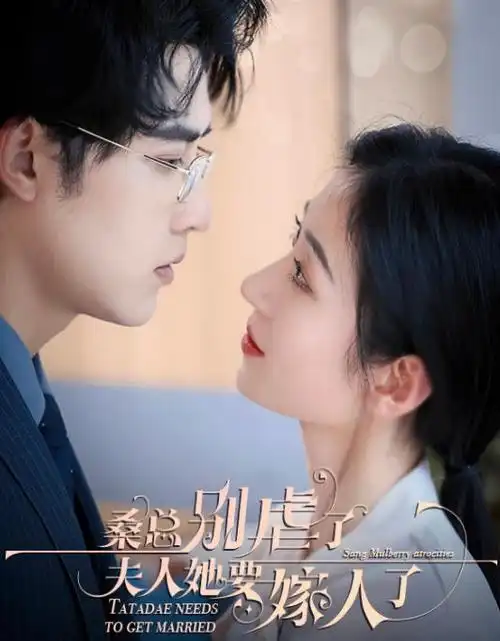 脊梁第4集在线观看高清